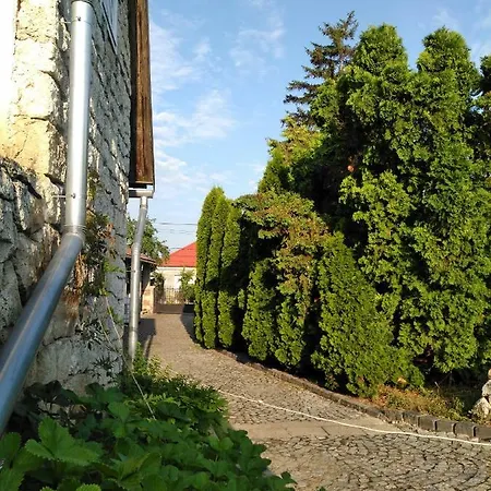 Dorogi Borkucko Pensjonat Tarcal